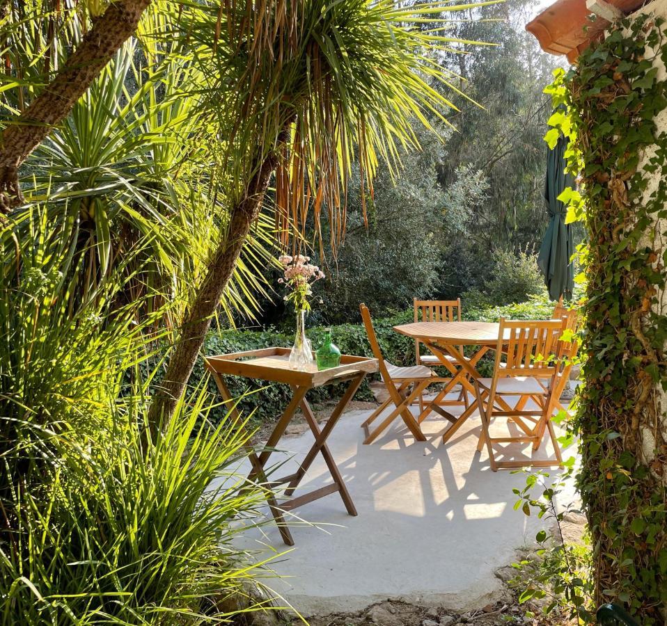 Nativo - Nature With Kitchenette And Private External Bathroom Nazare