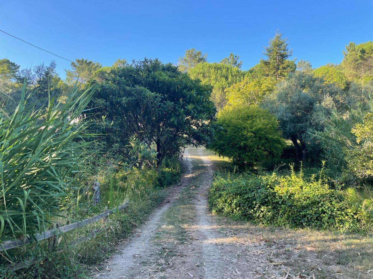 Nativo - Nature With Kitchenette And Private External Bathroom Lodge Nazare
